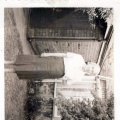 Colchester Grandparents (9)