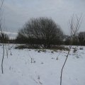 2013 January  Griffen Fen snow 032
